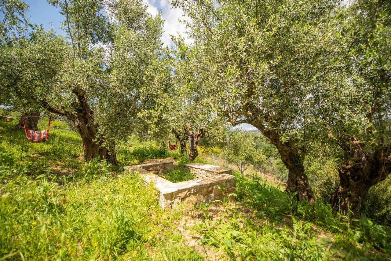Hakuna Matata Holidays Wooden Lodge With Airco & Pool In Greek Olive Grove Methoni  Esterno foto